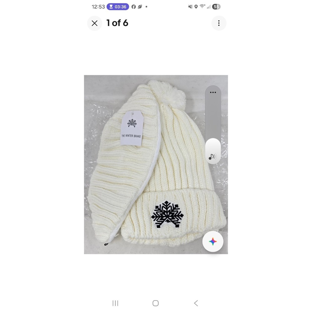 NWT The‎ Winter Brand Signature Beanie & Mask in White New W Tags
